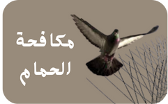 تركيب طارد حمام